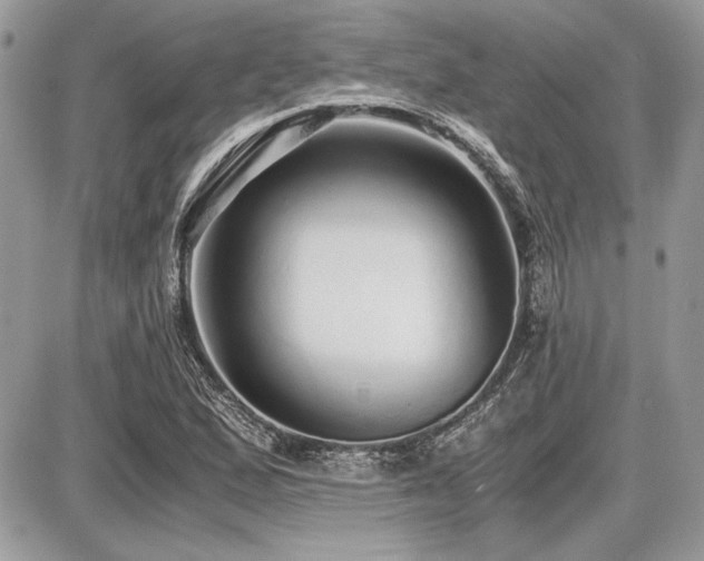 X0000087691167200705041030