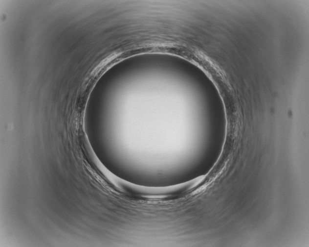 X0000087691169200705041030