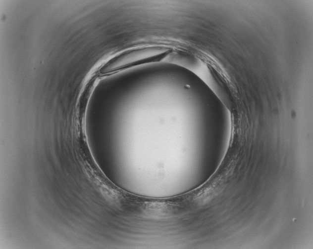 X0000087691172200705041030