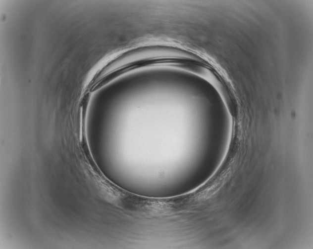 X0000087691175200705041030
