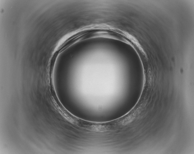 X0000087691176200705041030