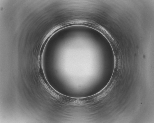X0000087691178200705041030