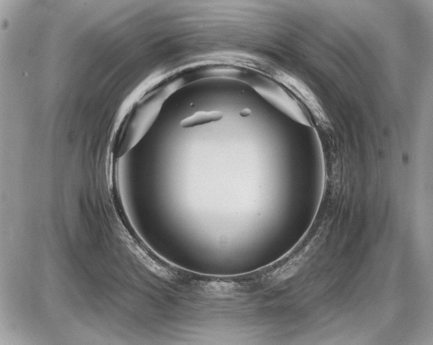 X0000087691180200705041030