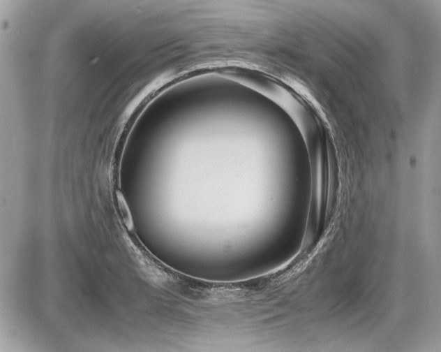 X0000087691181200705041030