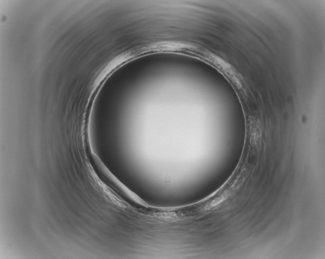 X0000087691186200705041030