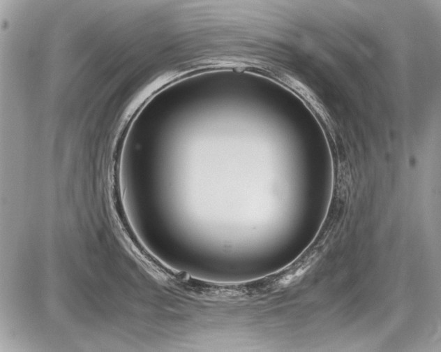 X0000087691187200705041030
