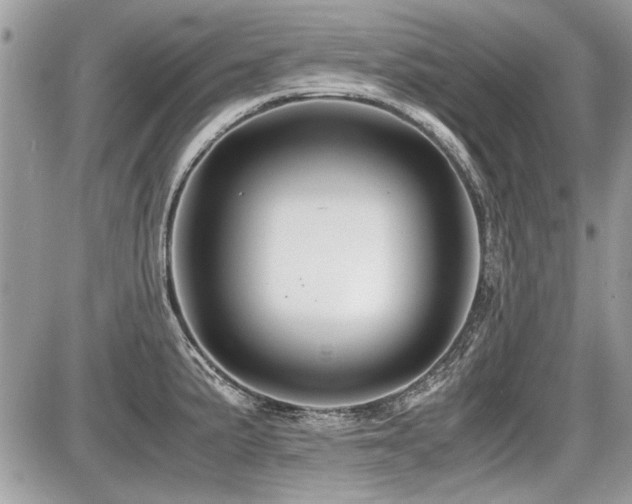 X0000087691191200705041030