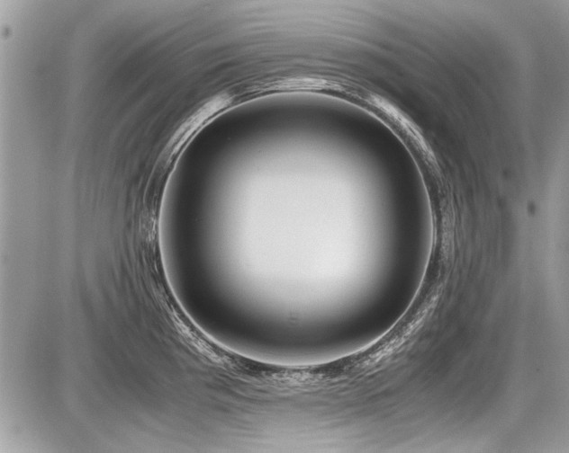 X0000087691193200705041030