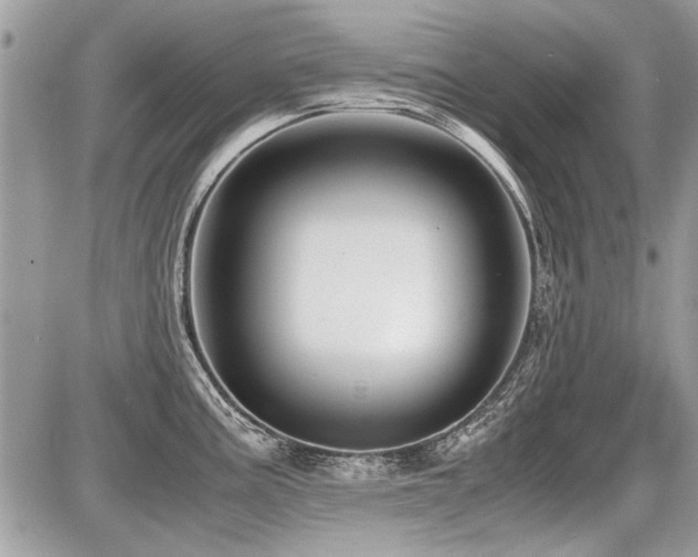 X0000087691195200705041030