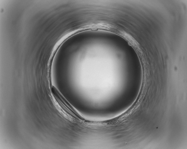 X0000087691200200705041030