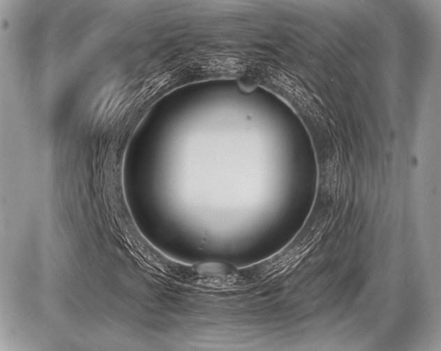 X0000087691201200705041029