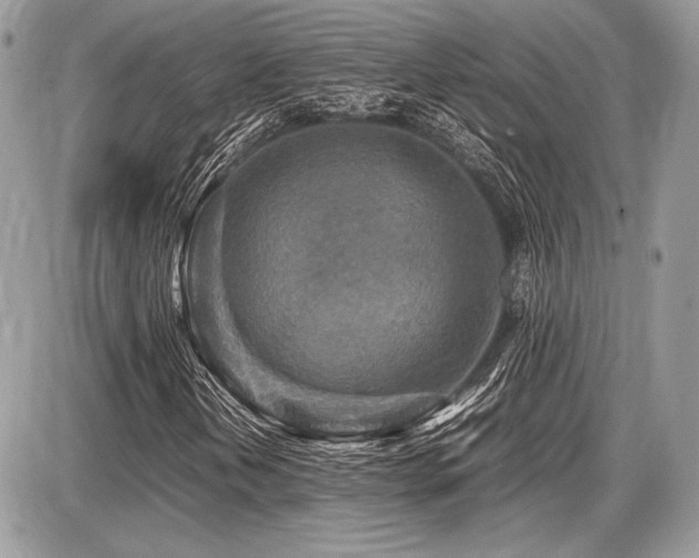 X0000087691202200705041029