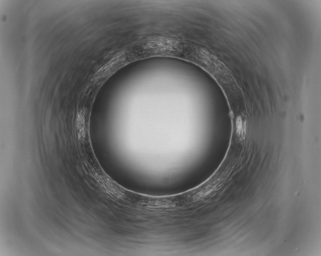 X0000087691203200705041029