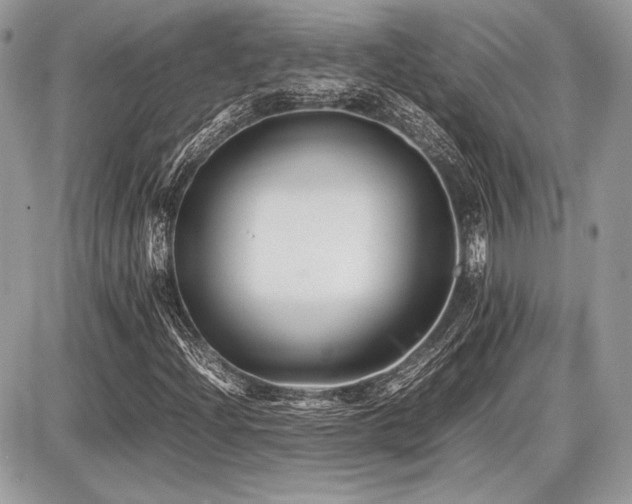 X0000087691204200705041029