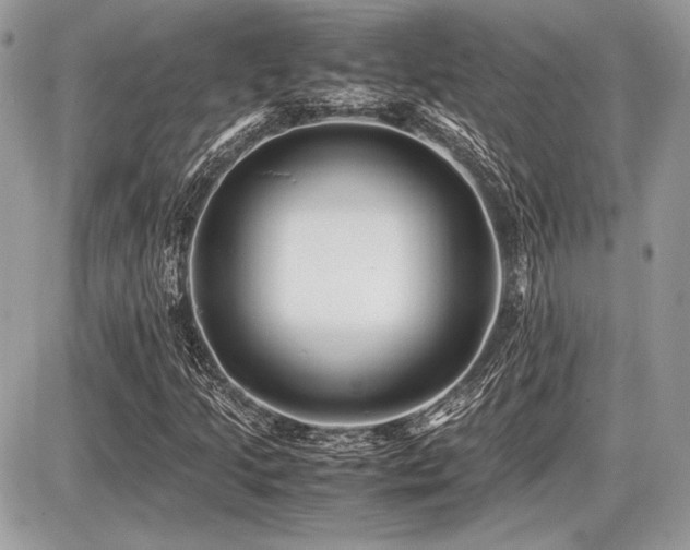 X0000087691205200705041029