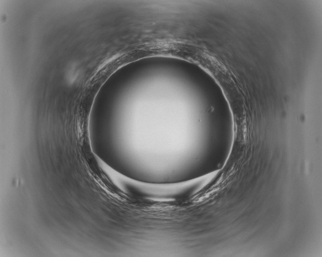 X0000087691206200705041029