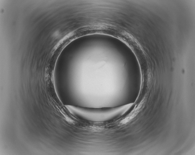 X0000087691210200705041029