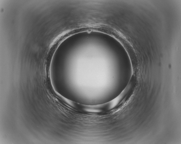 X0000087691214200705041029