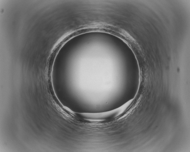 X0000087691216200705041029