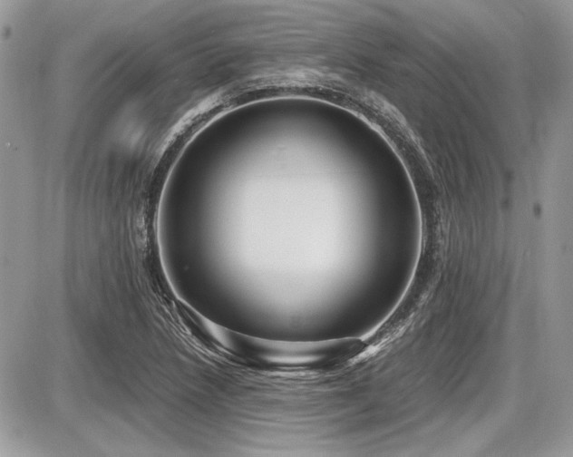 X0000087691218200705041029