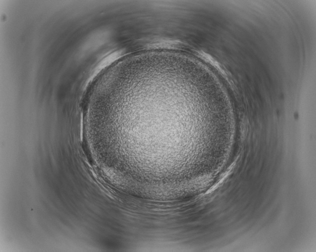 X0000087691219200705041029