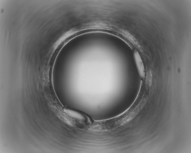 X0000087691222200705041029
