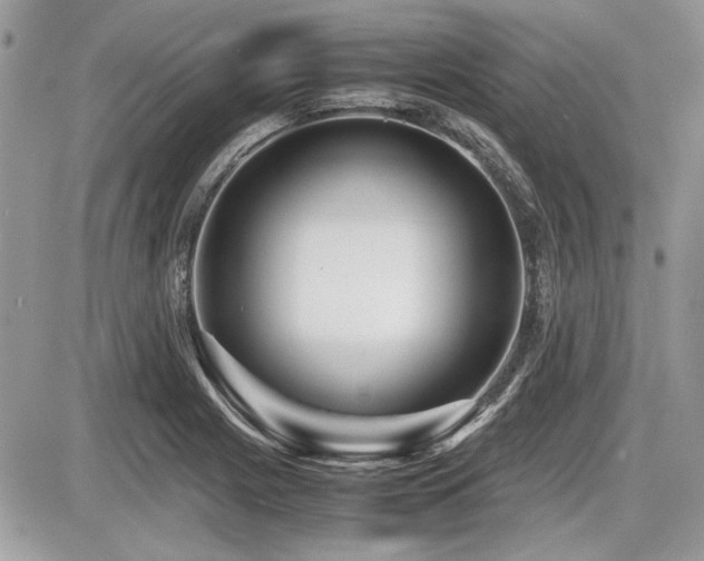 X0000087691225200705041029