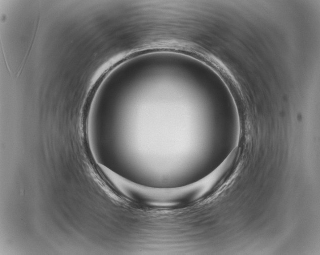 X0000087691230200705041029