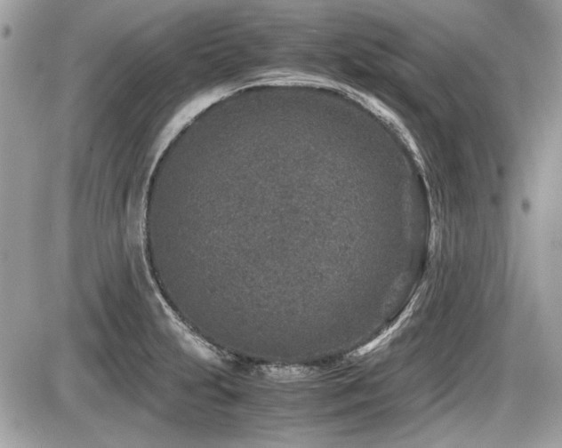 X0000087691231200705041029