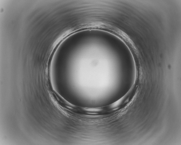 X0000087691234200705041030