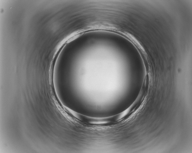 X0000087691246200705041030