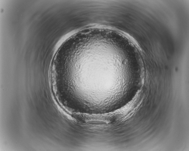 X0000087691247200705041030
