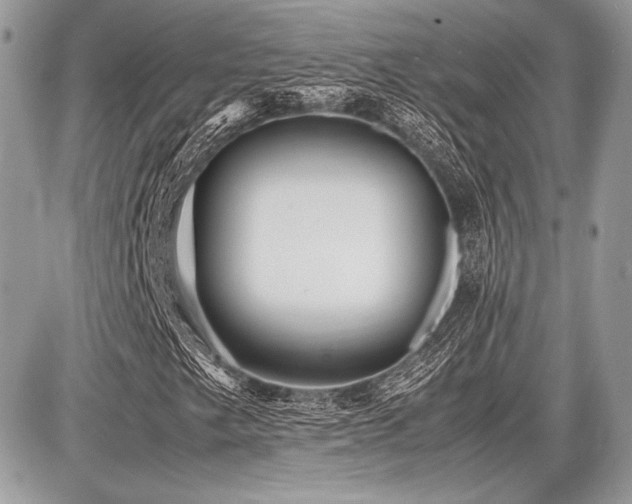 X0000087691249200705041029