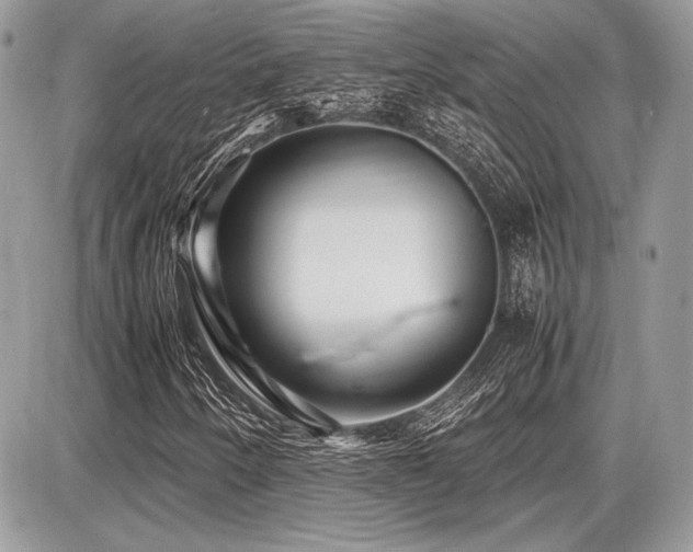 X0000087691250200705041029