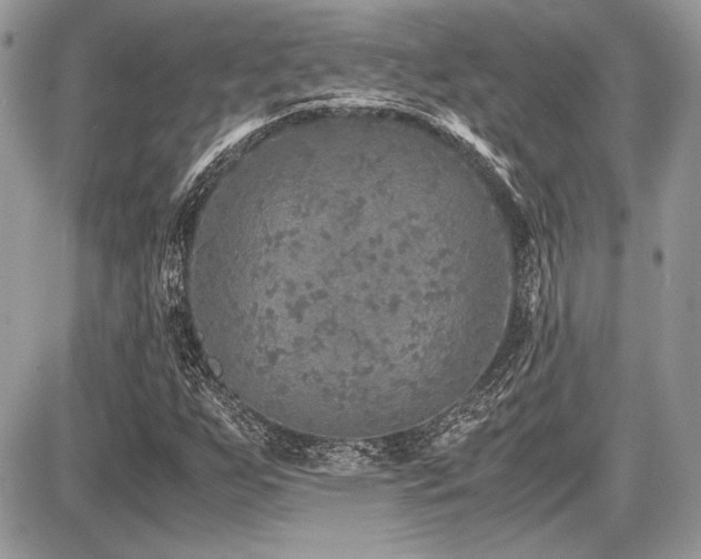 X0000087691255200705041029