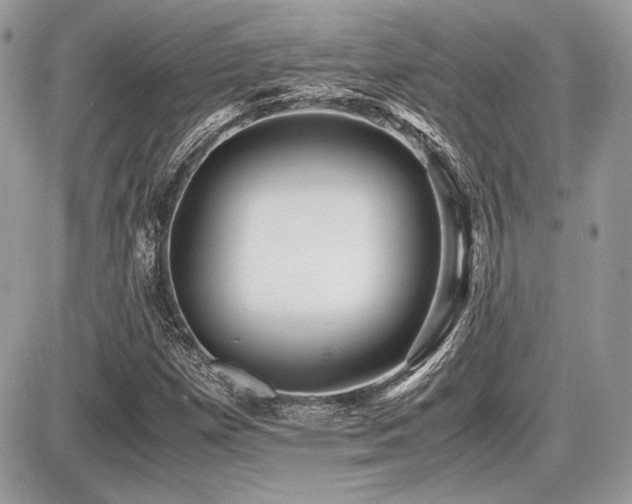 X0000087691257200705041029