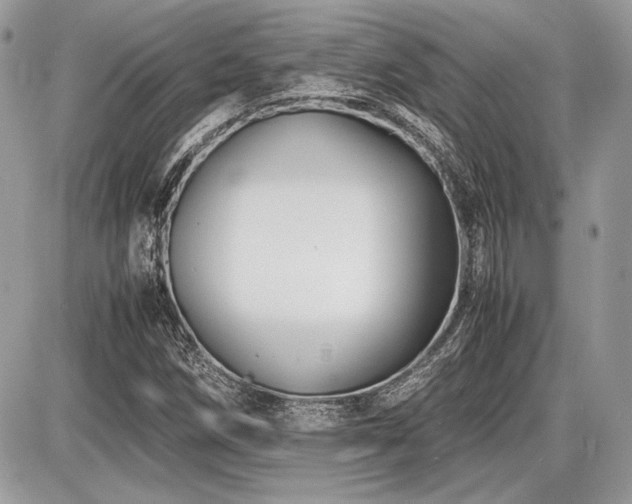 X0000087691258200705041029