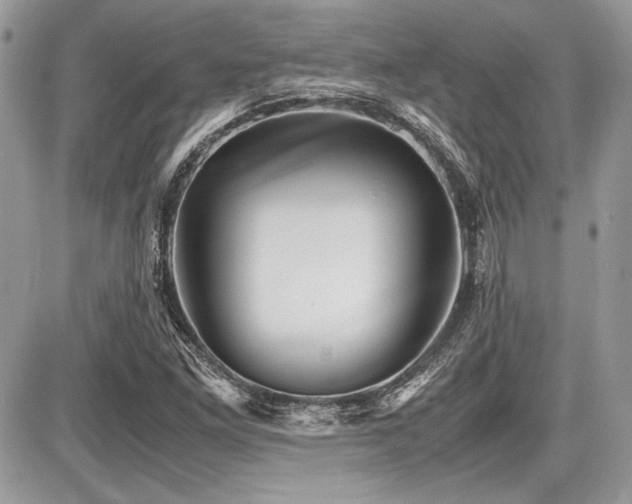 X0000087691261200705041029
