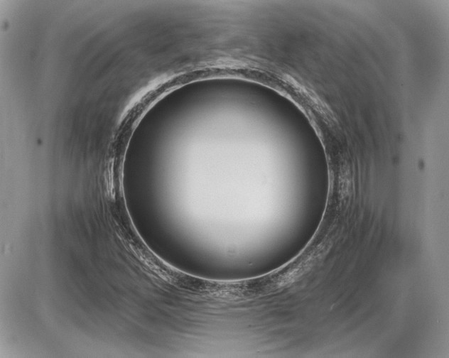 X0000087691262200705041029
