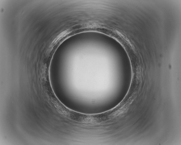 X0000087691265200705041029