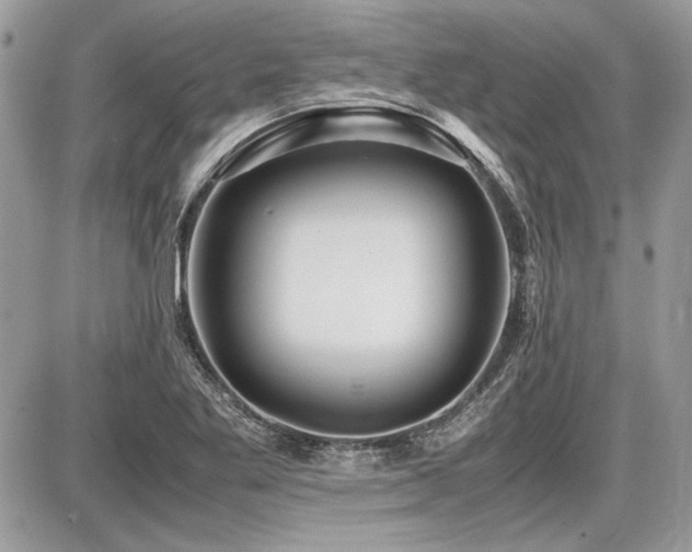 X0000087691269200705041029
