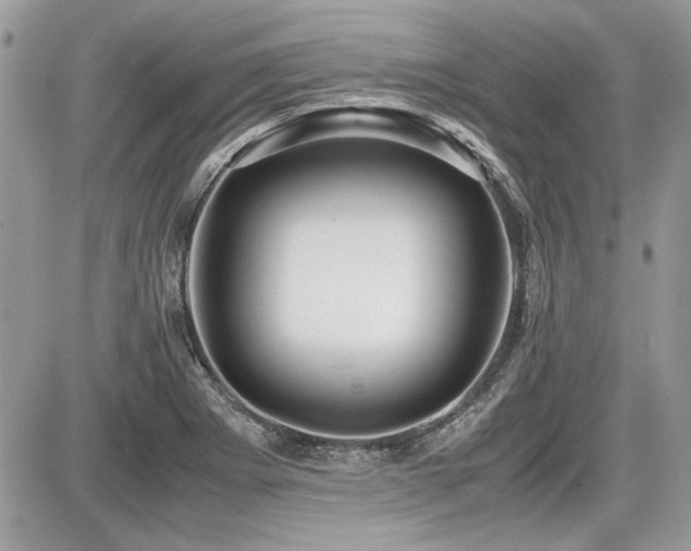X0000087691273200705041029