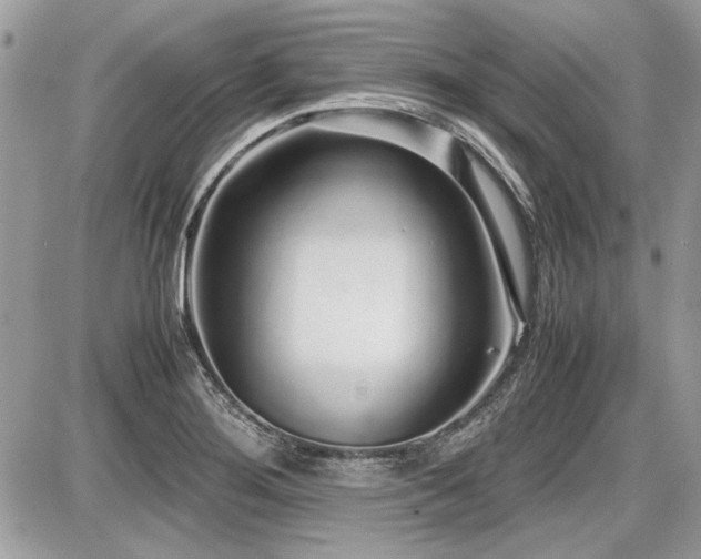 X0000087691276200705041029