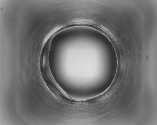 X0000087691277200705041028