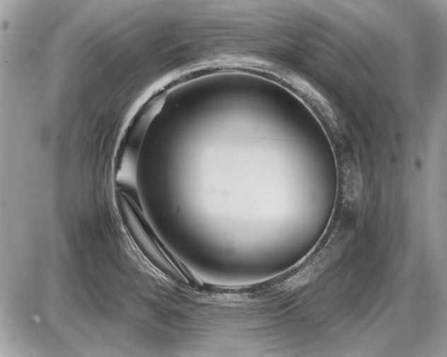 X0000087691280200705041028