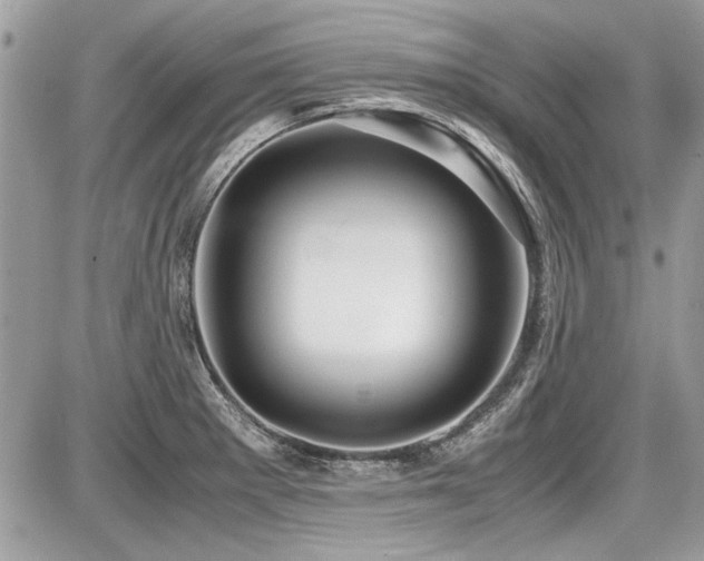 X0000087691281200705041028