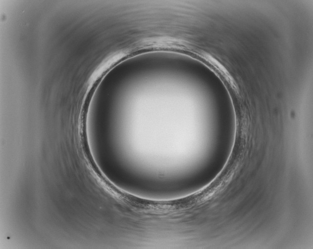 X0000087691285200705041028