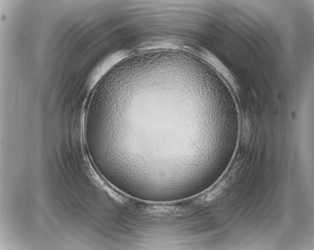 X0000087691290200705041028