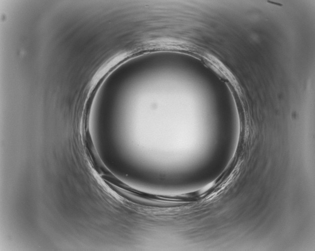 X0000087691293200705041028