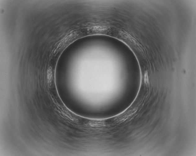 X0000087691299200705041027